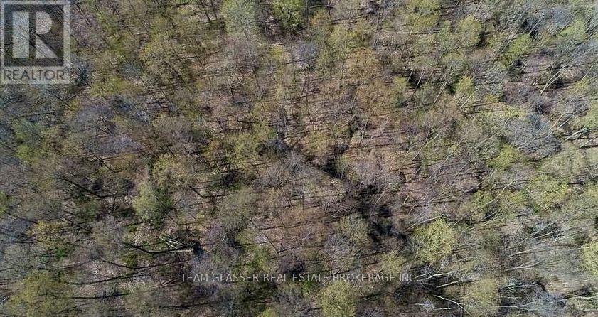 315529 31st Line Property Photo 5