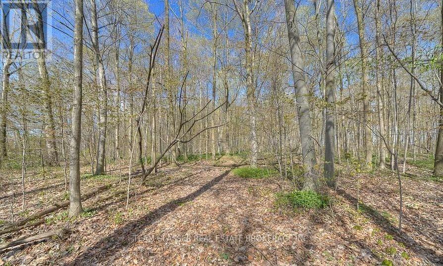 315529 31st Line Property Photo 6
