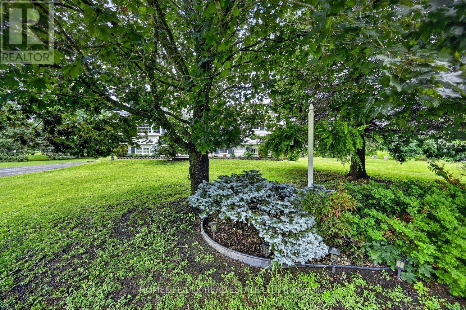 6 Kimberley Crescent Property Photo 3