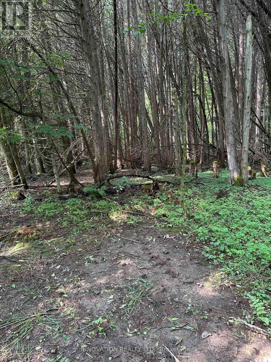 2645 Drummond Concession 7 Road N Property Photo 12