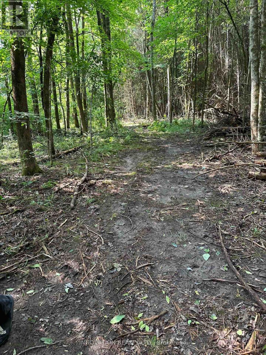 2645 Drummond Concession 7 Road N Property Photo 13