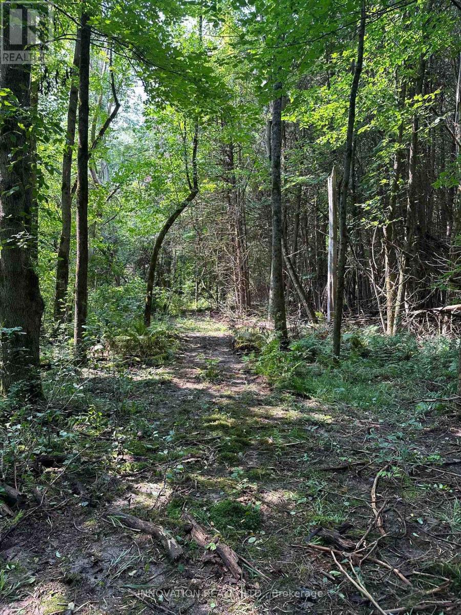 2645 Drummond Concession 7 Road N Property Photo 14