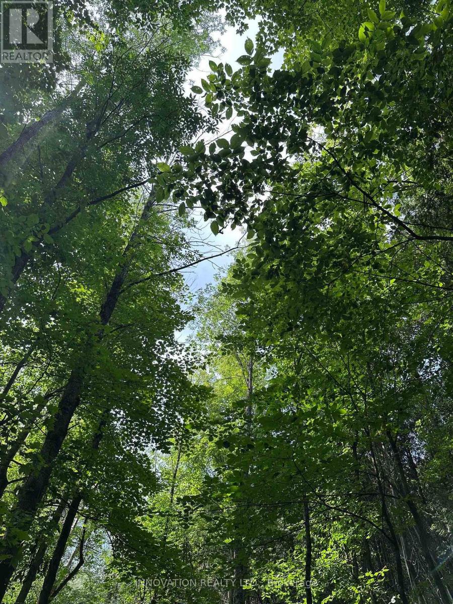 2645 Drummond Concession 7 Road N Property Photo 15