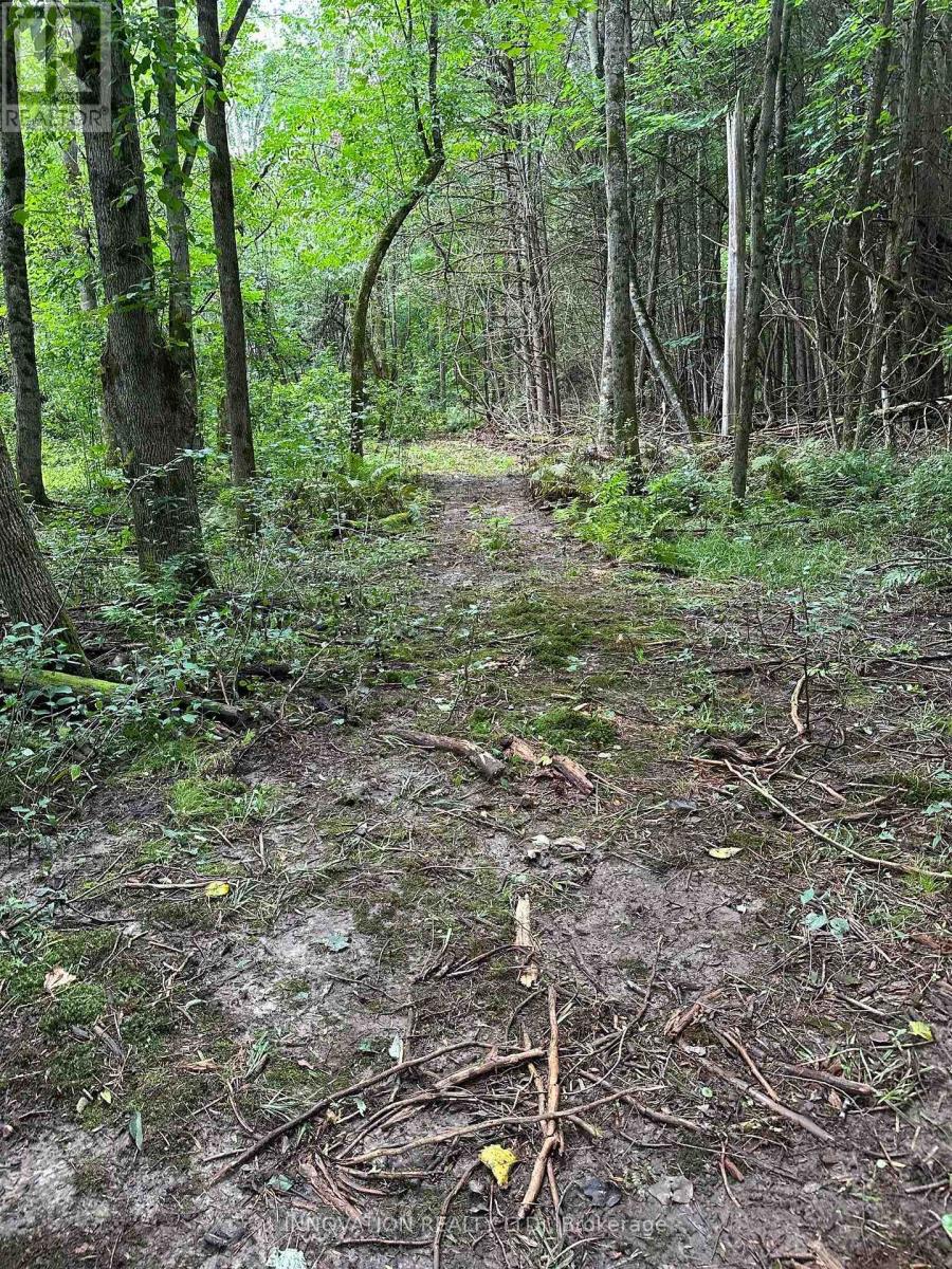 2645 Drummond Concession 7 Road N Property Photo 16