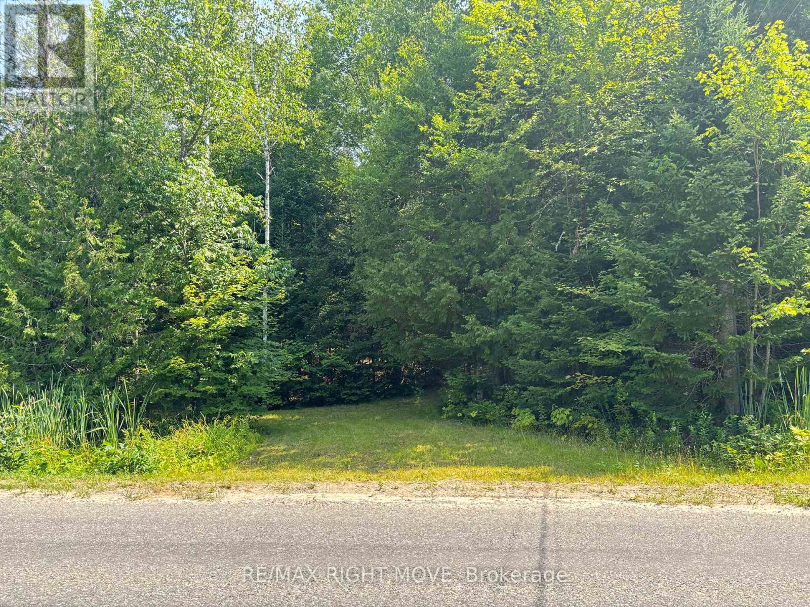 50 Sunrise Drive Property Photo 2