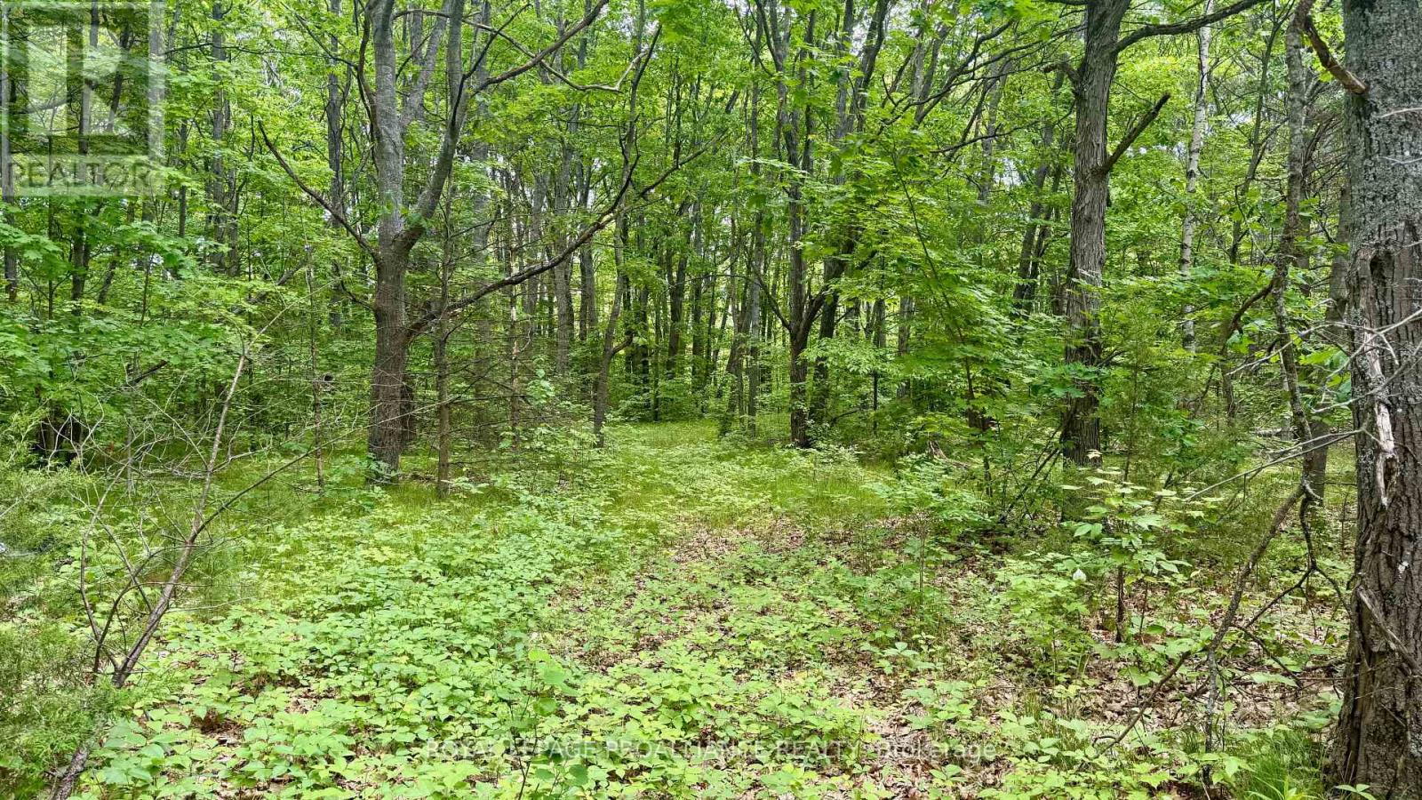 207 Middle Ridge Road Property Photo 1