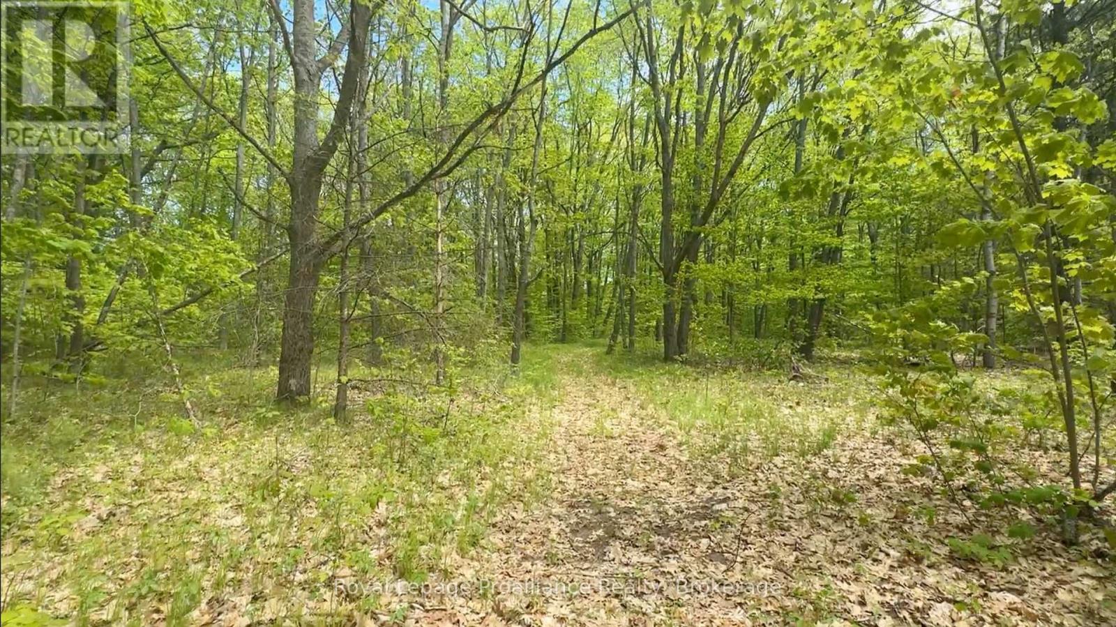 207 Middle Ridge Road Property Photo 2