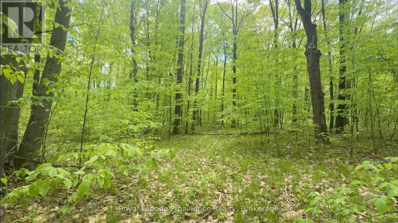 207 Middle Ridge Road Property Photo 3