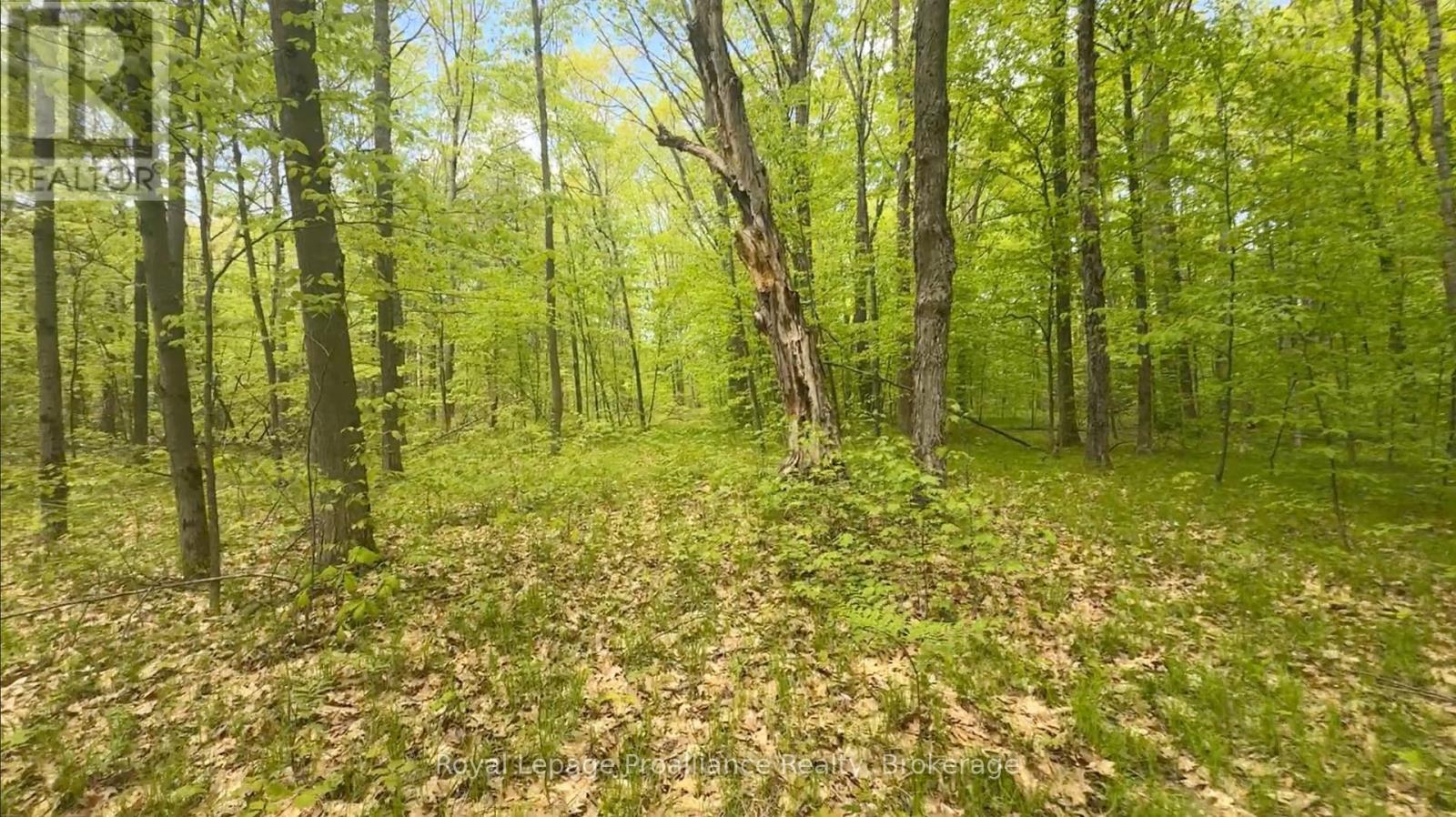 207 Middle Ridge Road Property Photo 4