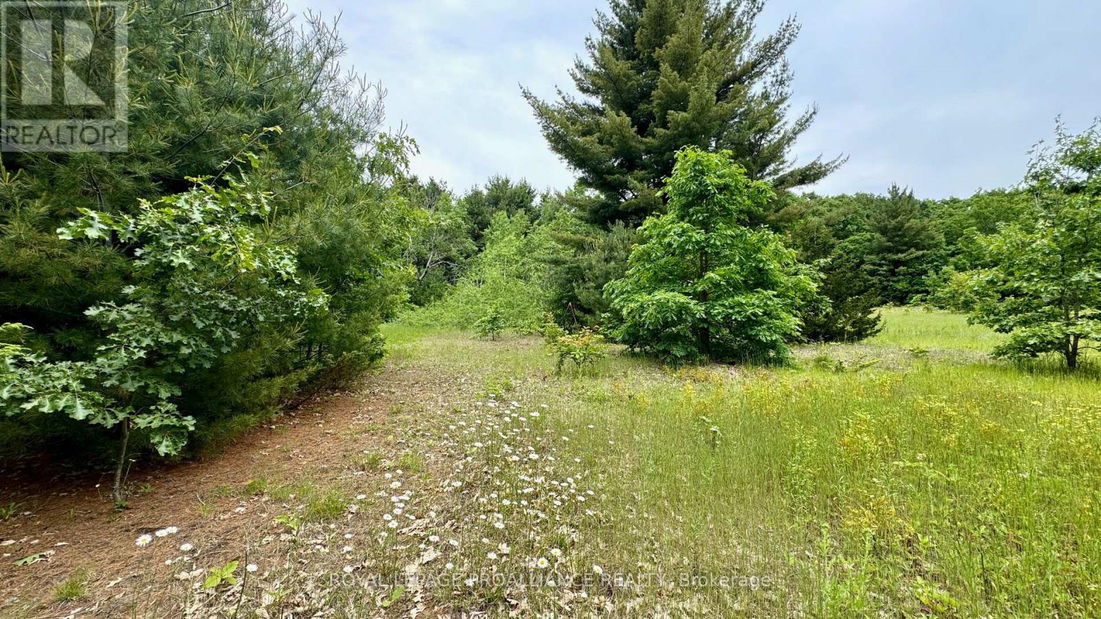 207 Middle Ridge Road Property Photo 5