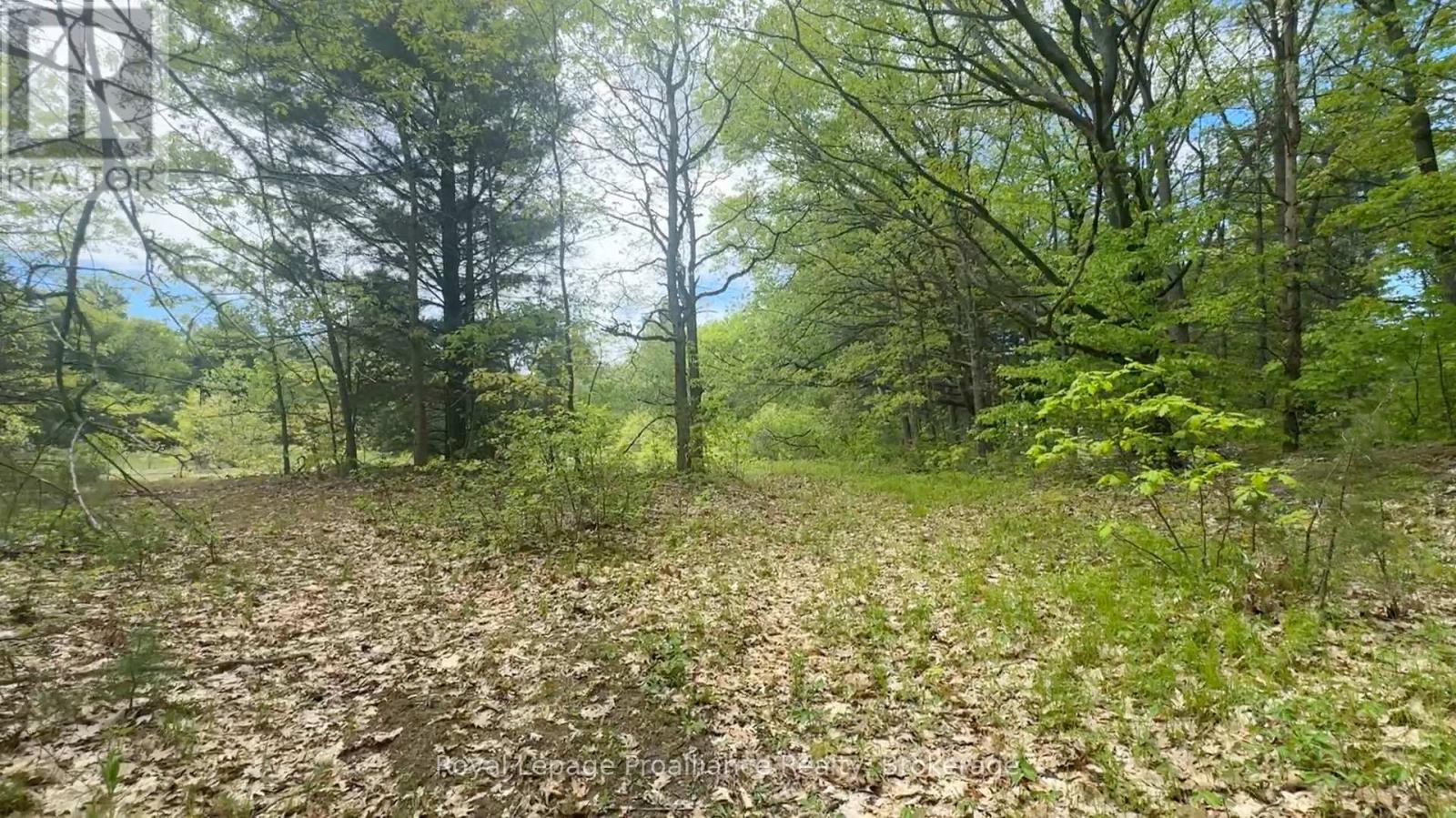 207 Middle Ridge Road Property Photo 7