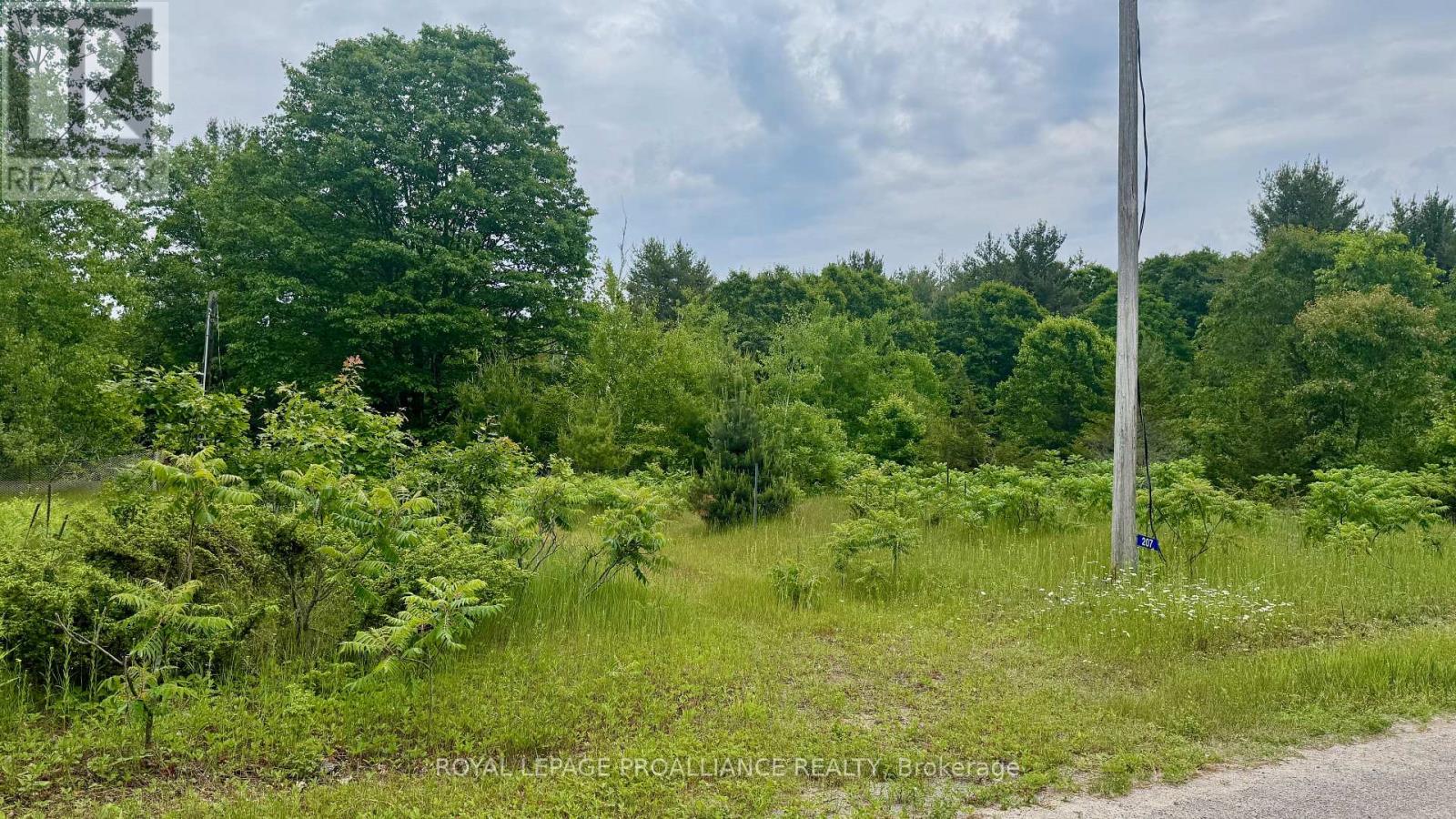 207 Middle Ridge Road Property Photo 15