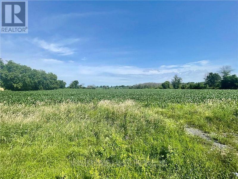 18205 Tyotown Road Property Photo 9