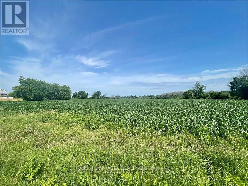 18205 Tyotown Road Property Photo 10