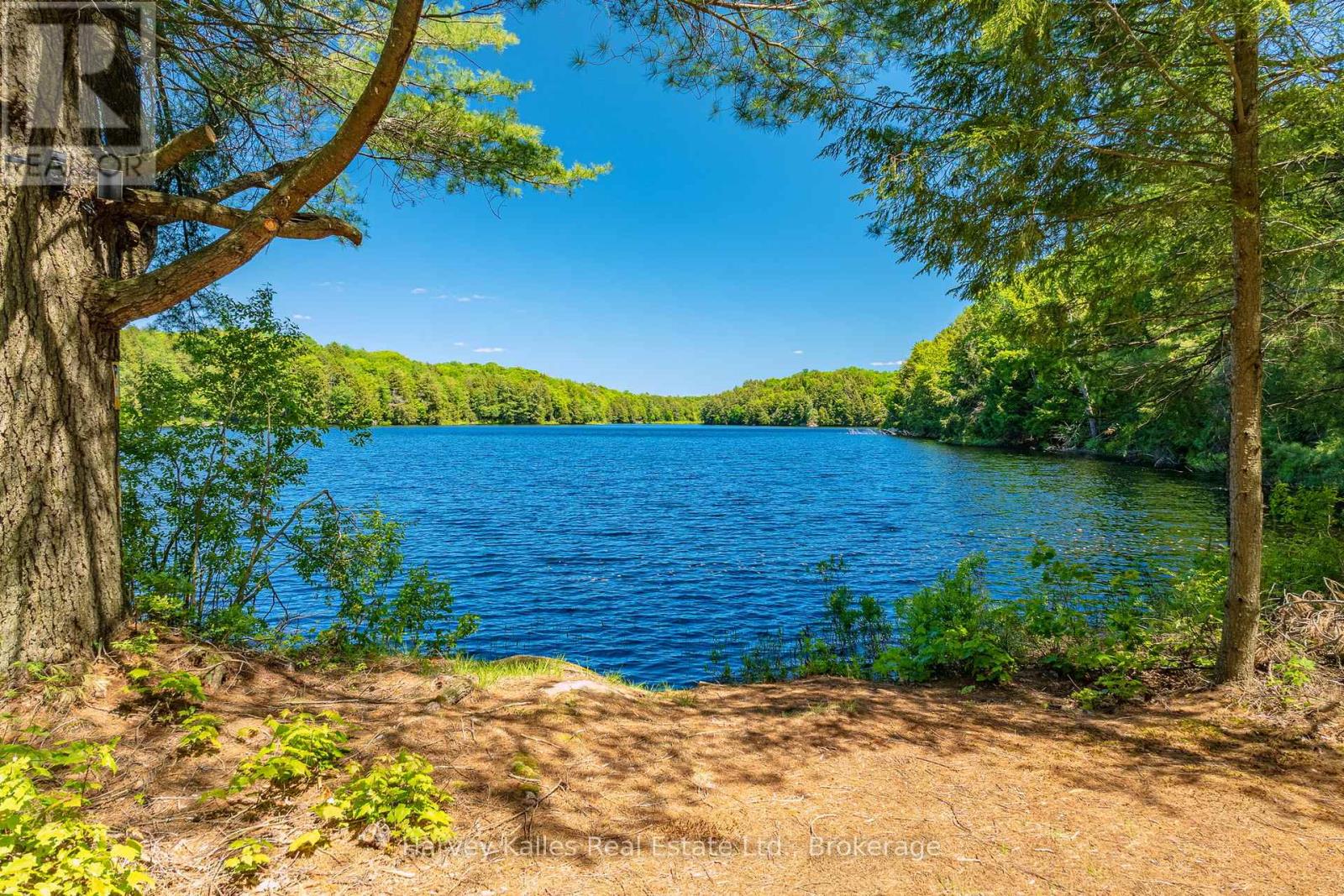 643b Highway 632 Property Photo 1