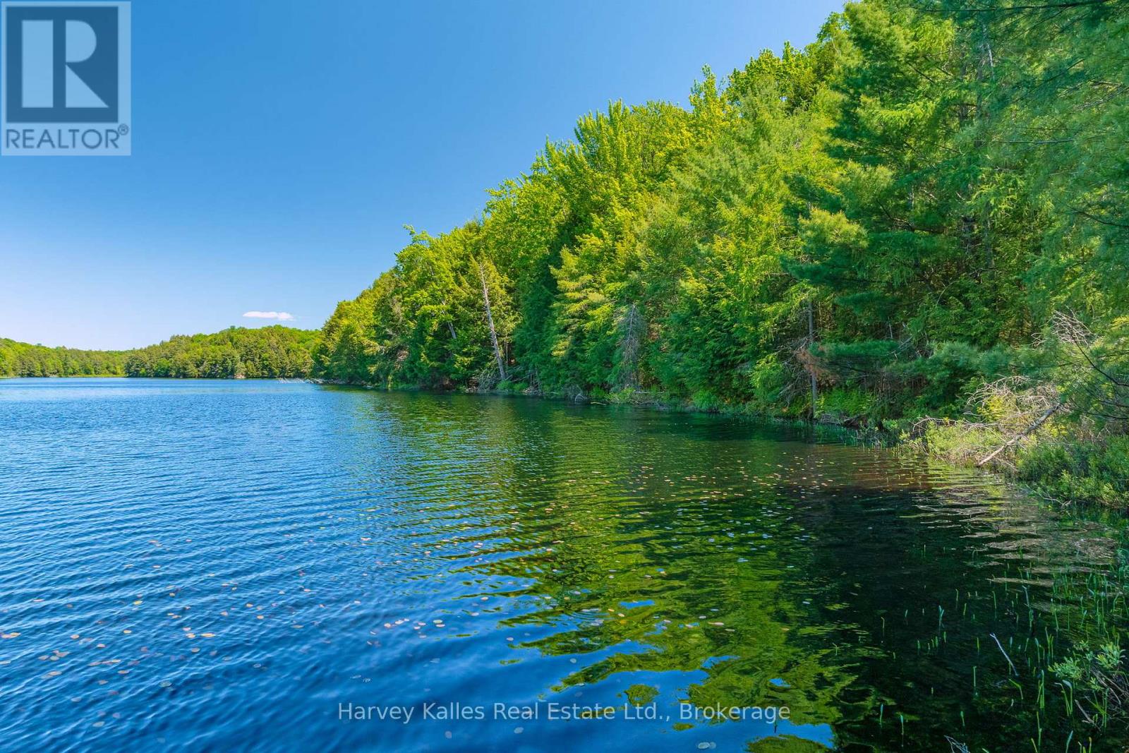 643b Highway 632 Property Photo 10