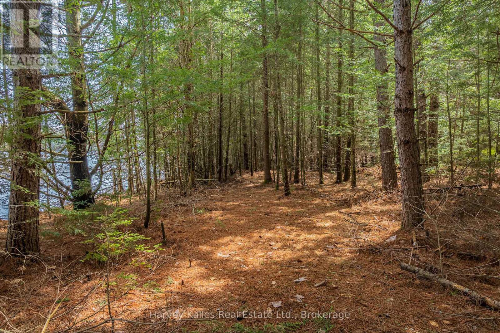 643b Highway 632 Property Photo 17