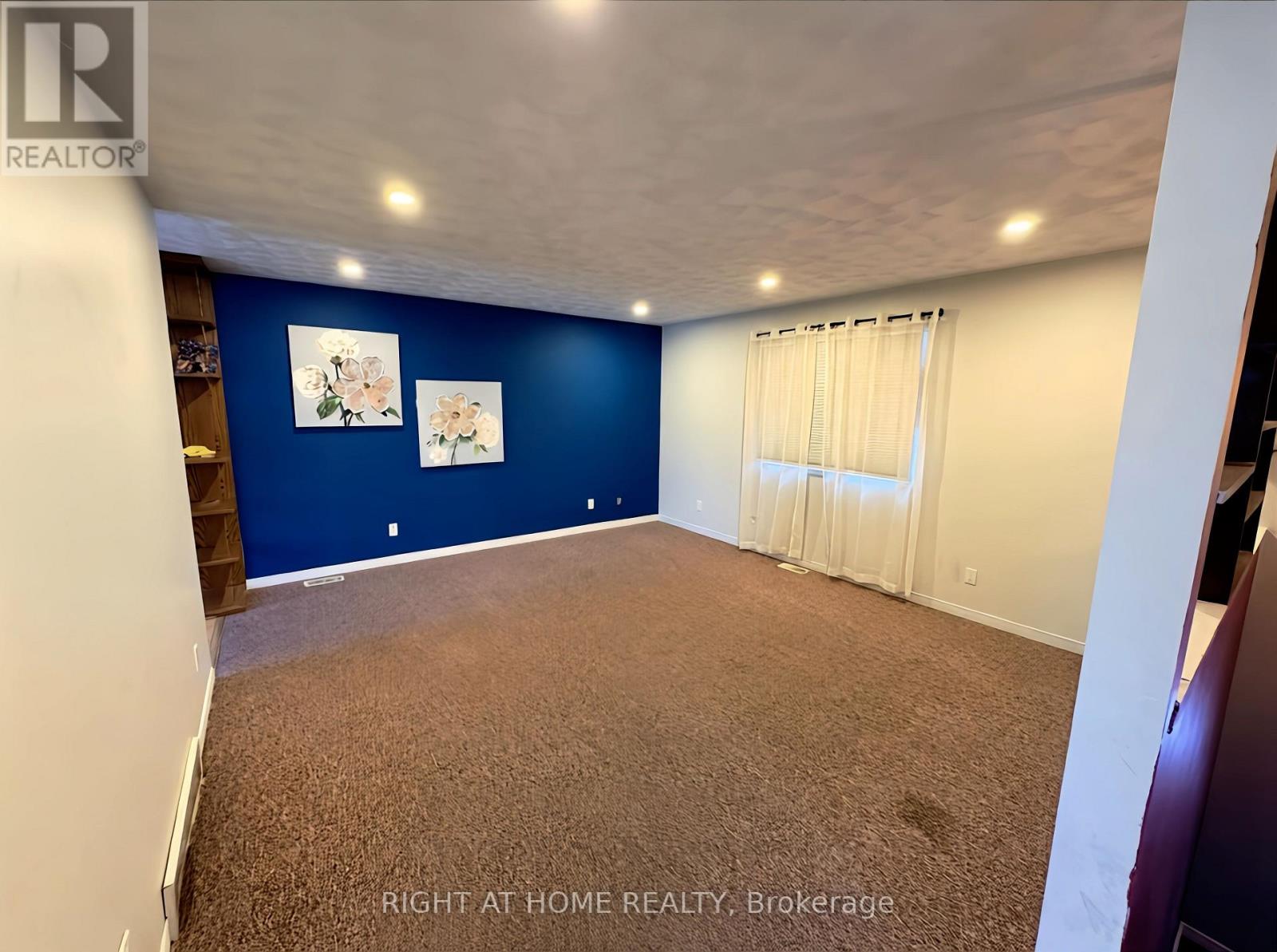 113 Anglesea Street Property Photo 8