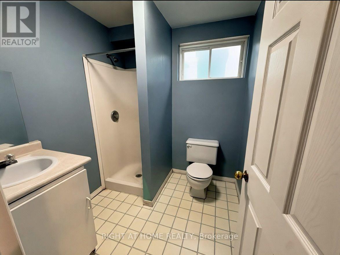113 Anglesea Street Property Photo 14