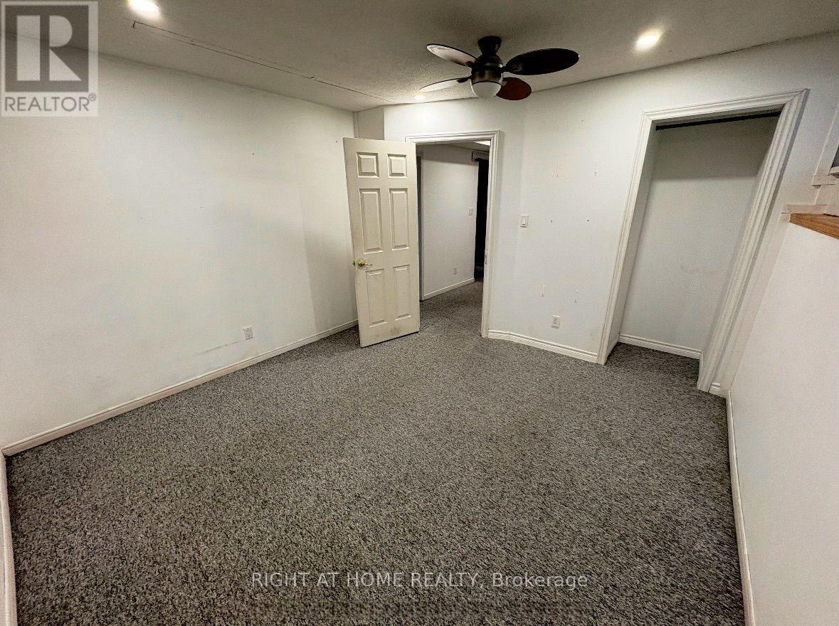 113 Anglesea Street Property Photo 17