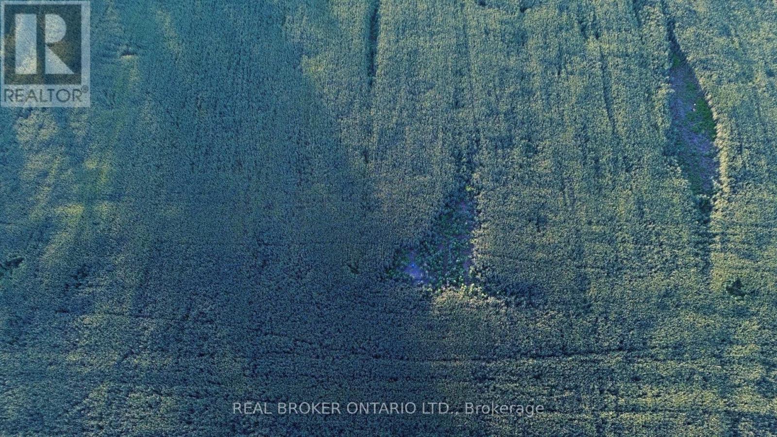 Lot 5 Rodney Lane Property Photo 12