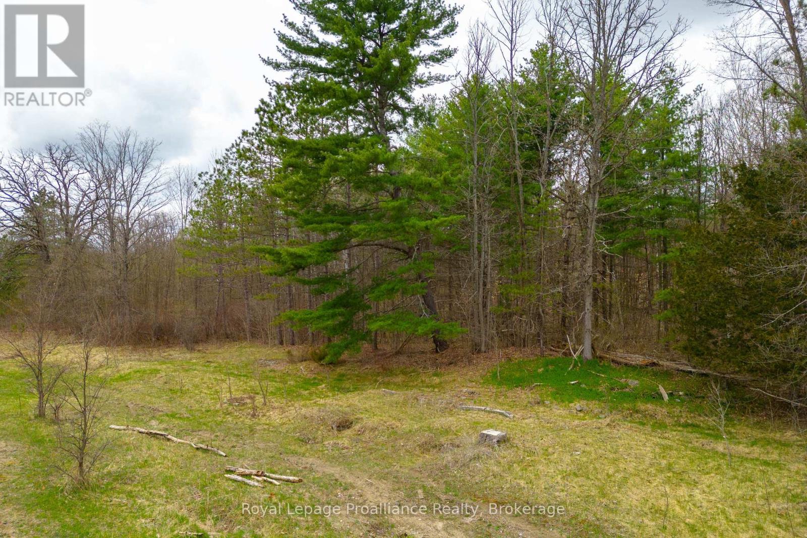 29200 Highway 7 Property Photo 28