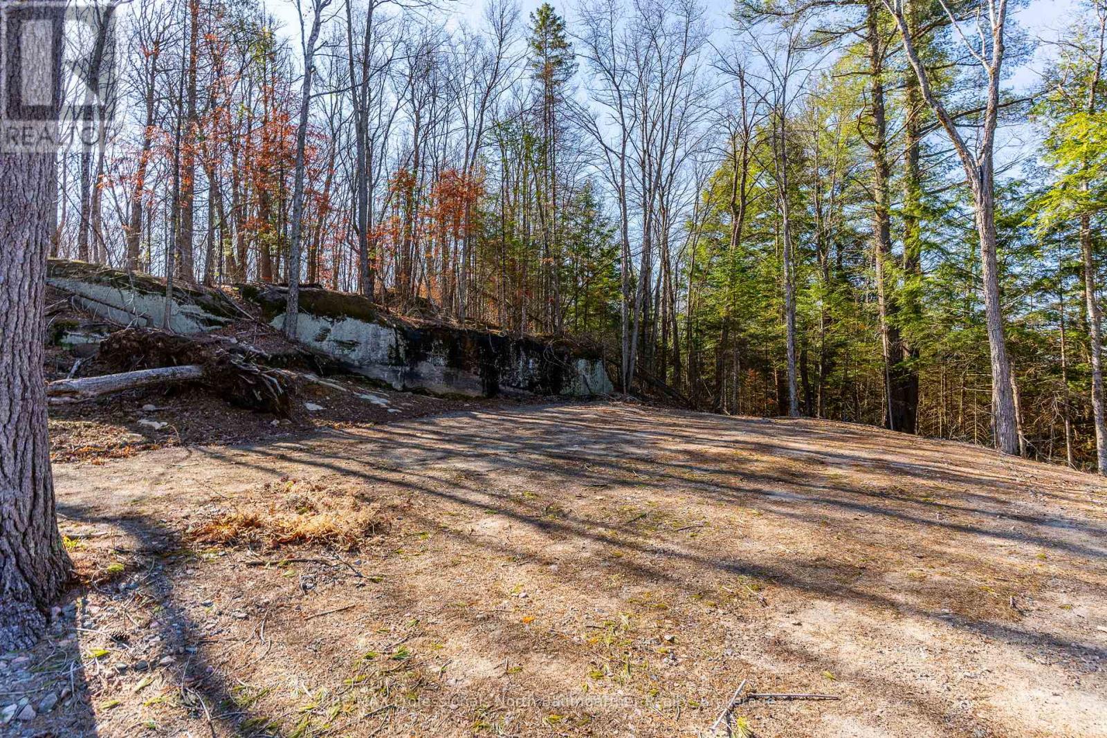 0 Boughner Road Property Photo 1