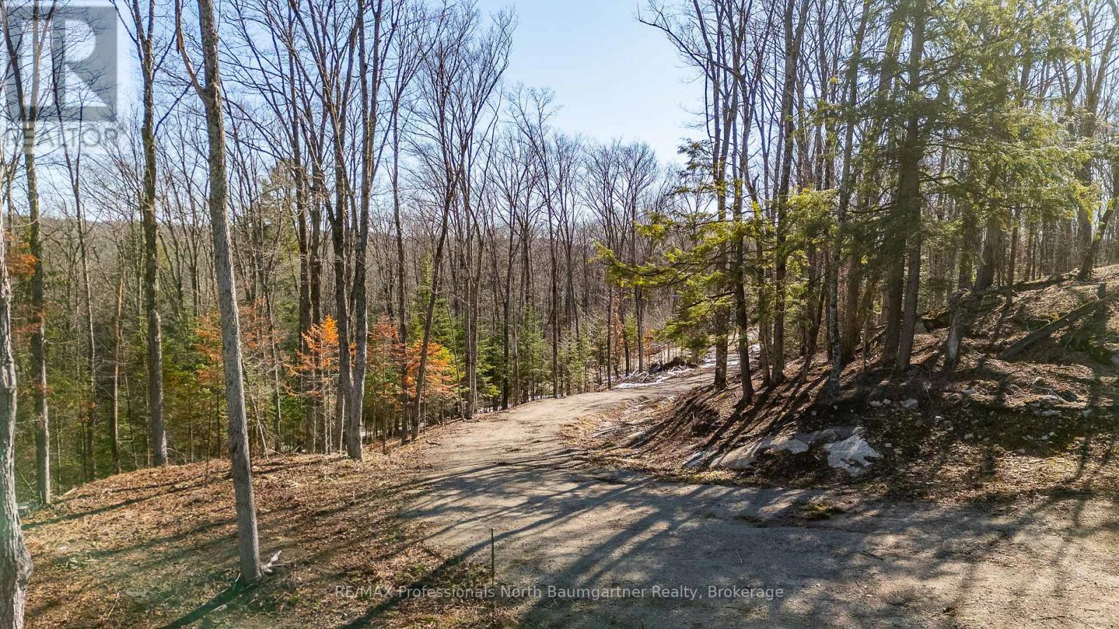 0 Boughner Road Property Photo 7