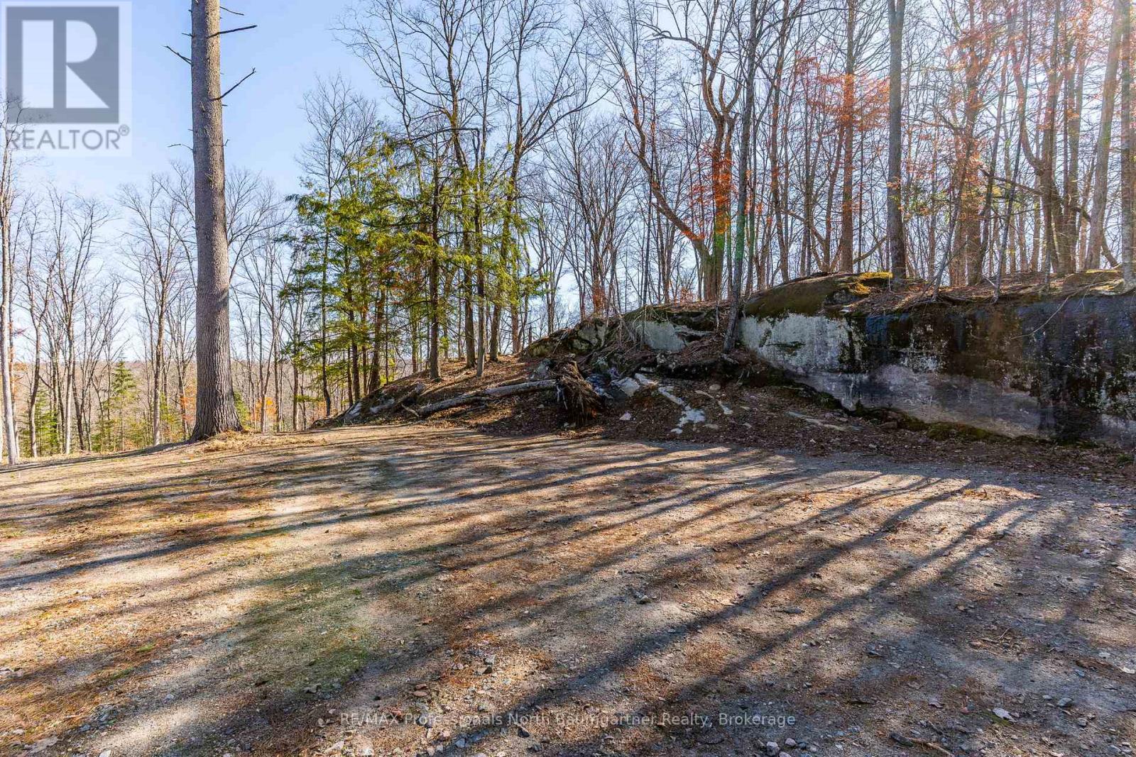 0 Boughner Road Property Photo 9