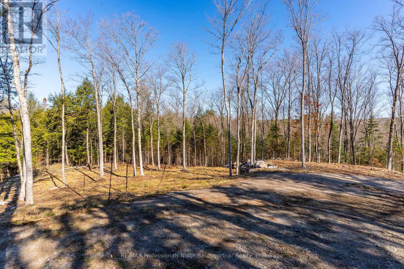 0 Boughner Road Property Photo 10