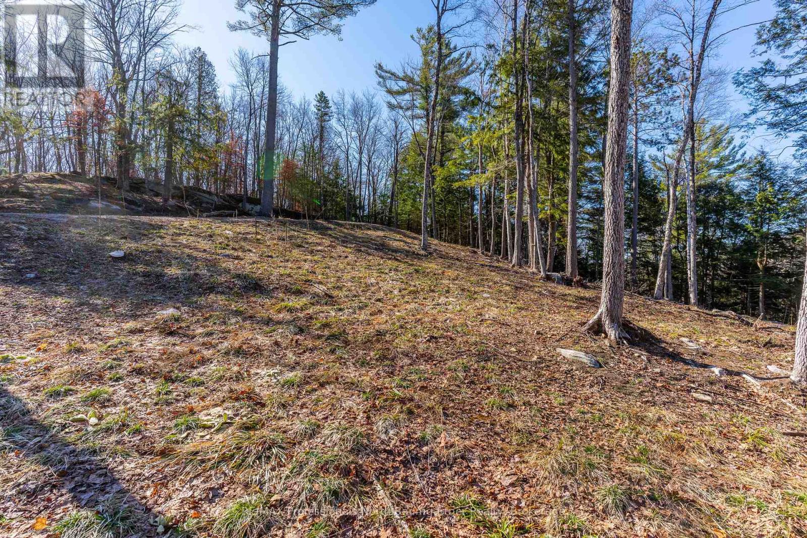0 Boughner Road Property Photo 11
