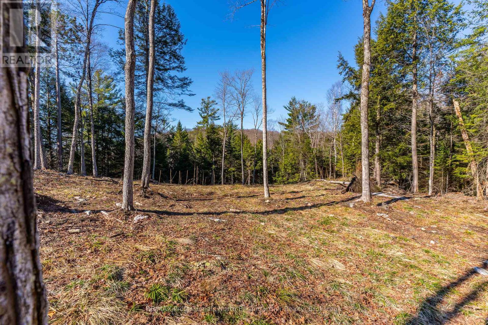 0 Boughner Road Property Photo 12