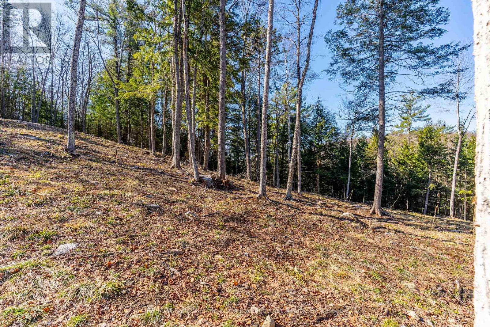 0 Boughner Road Property Photo 13