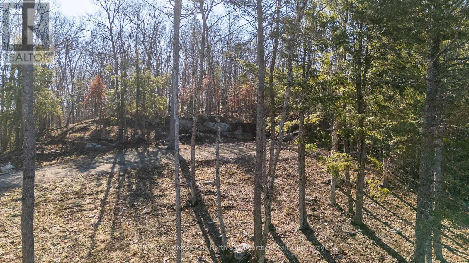 0 Boughner Road Property Photo 14