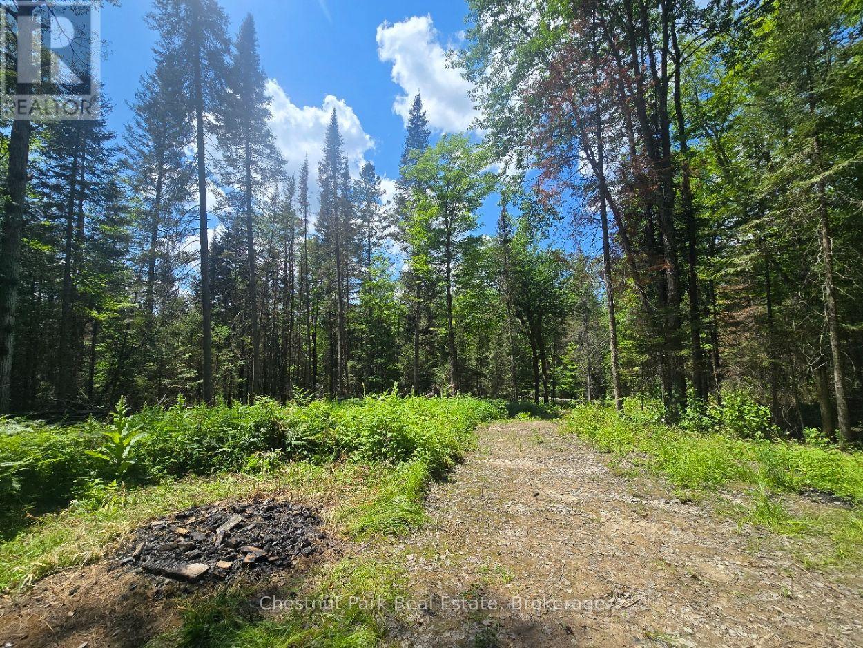 1630 Midlothian Road Property Photo 4