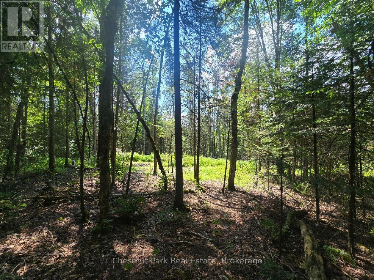 1630 Midlothian Road Property Photo 6
