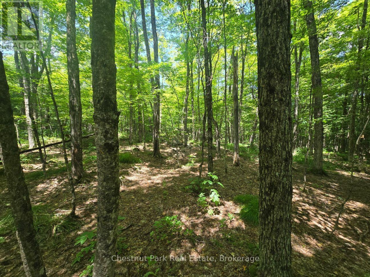 1630 Midlothian Road Property Photo 7