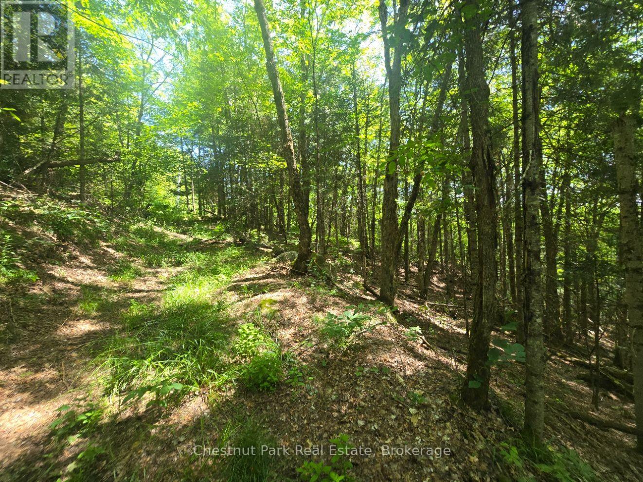 1630 Midlothian Road Property Photo 8