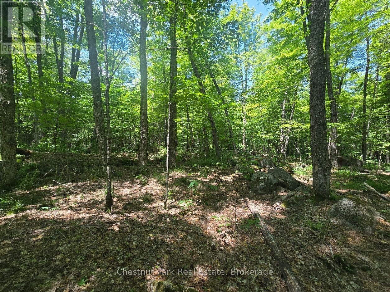 1630 Midlothian Road Property Photo 9