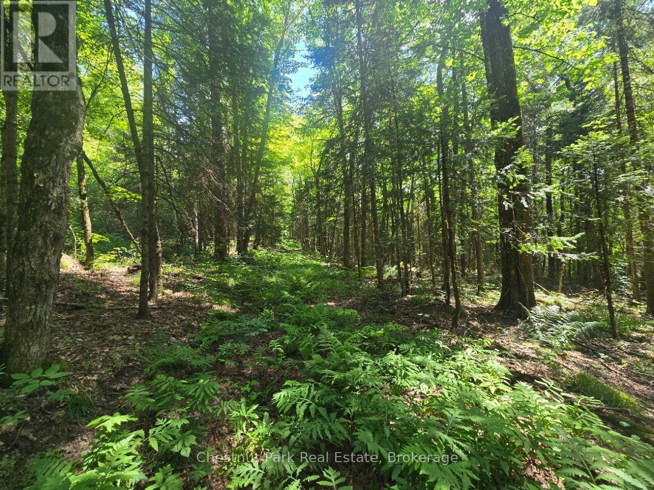 1630 Midlothian Road Property Photo 10