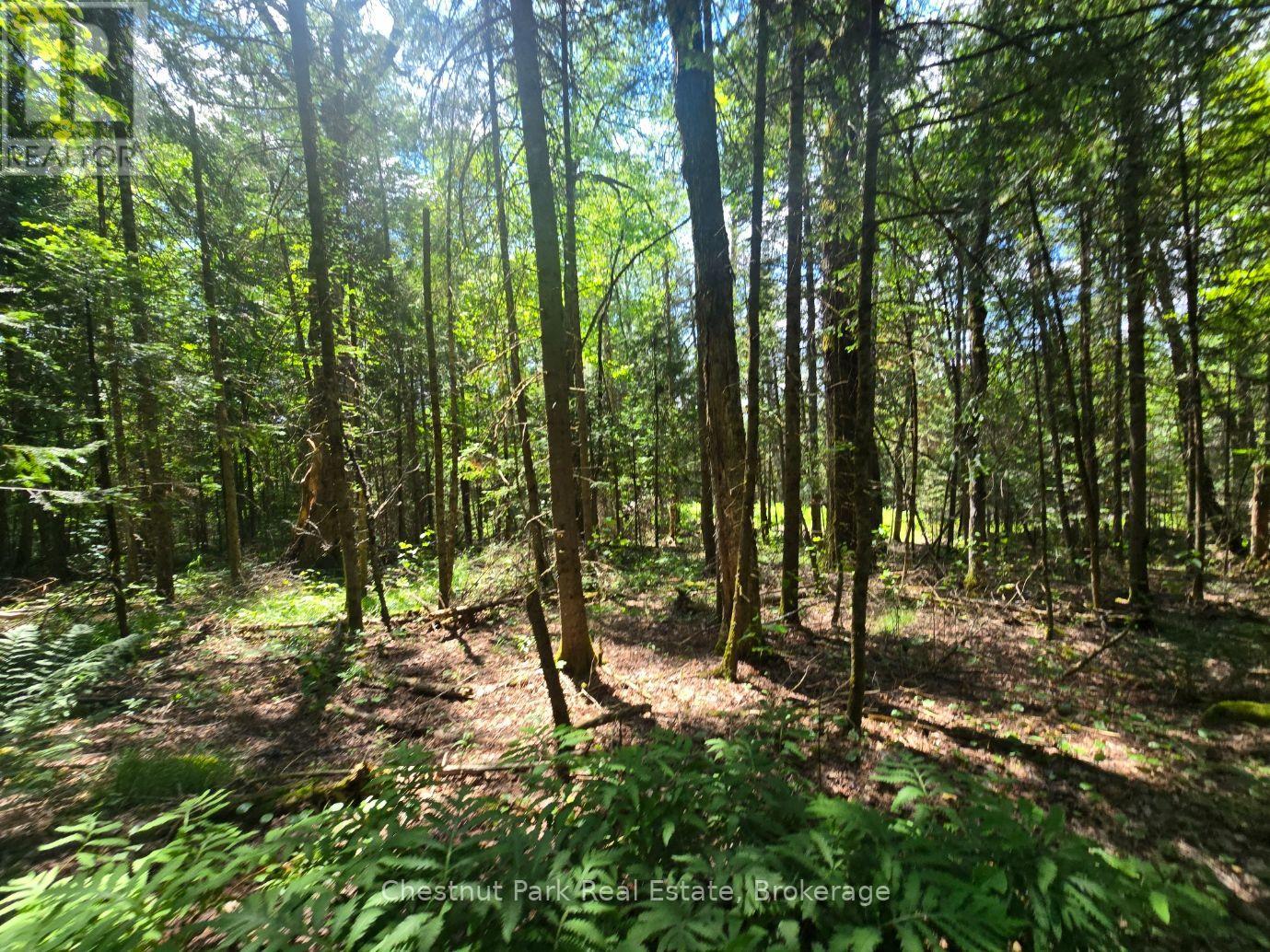 1630 Midlothian Road Property Photo 11