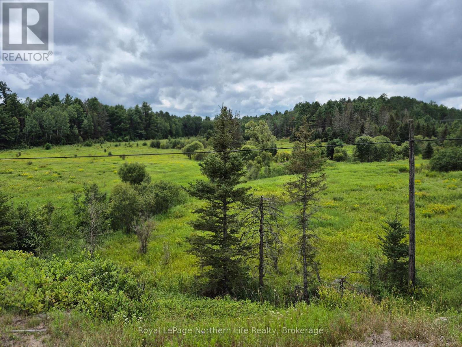 3518 Highway 17 Property Photo 2