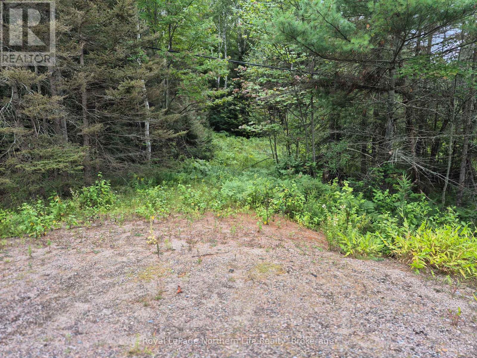 3518 Highway 17 Property Photo 4