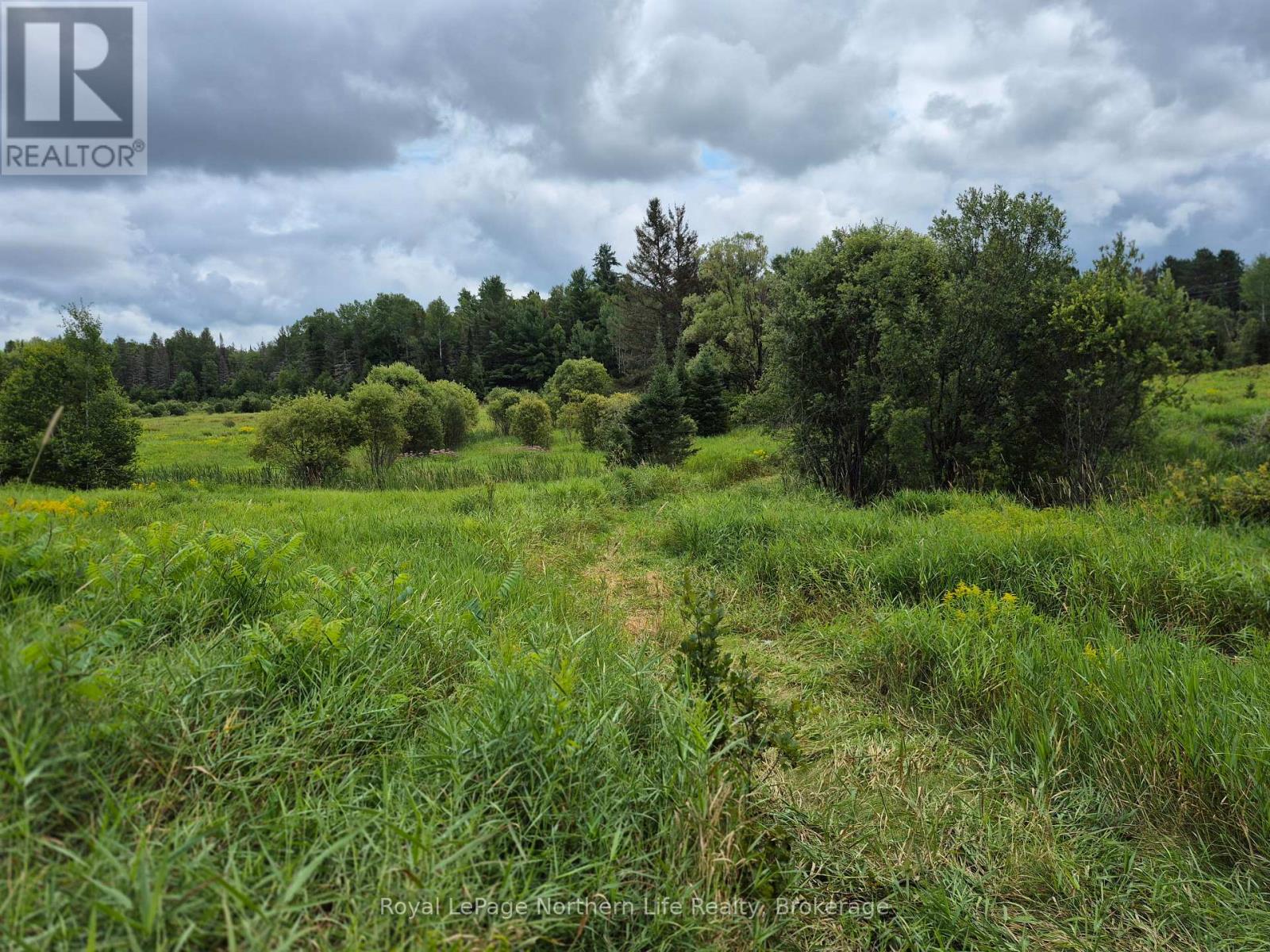 3518 Highway 17 Property Photo 6