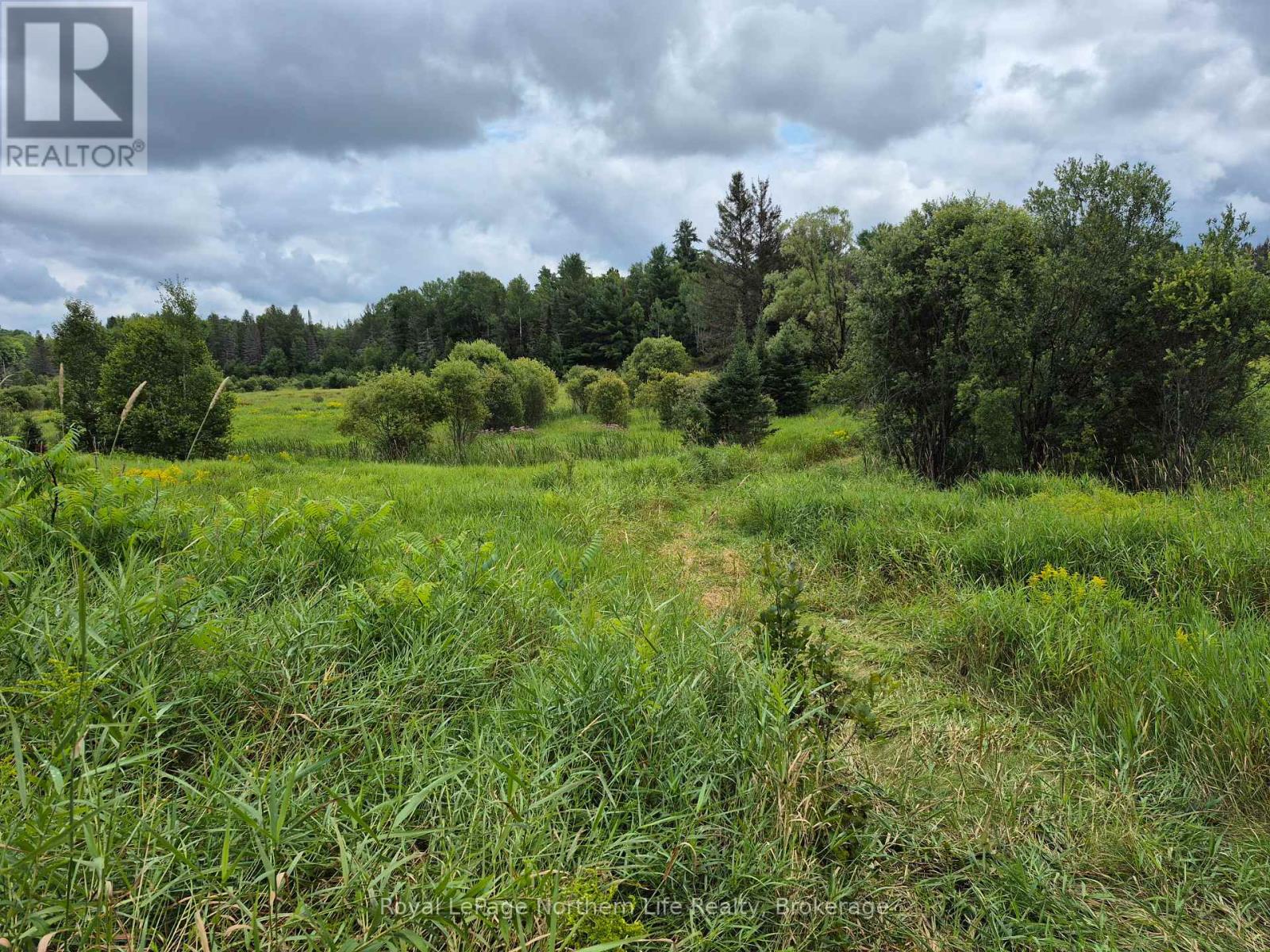 3518 Highway 17 Property Photo 7