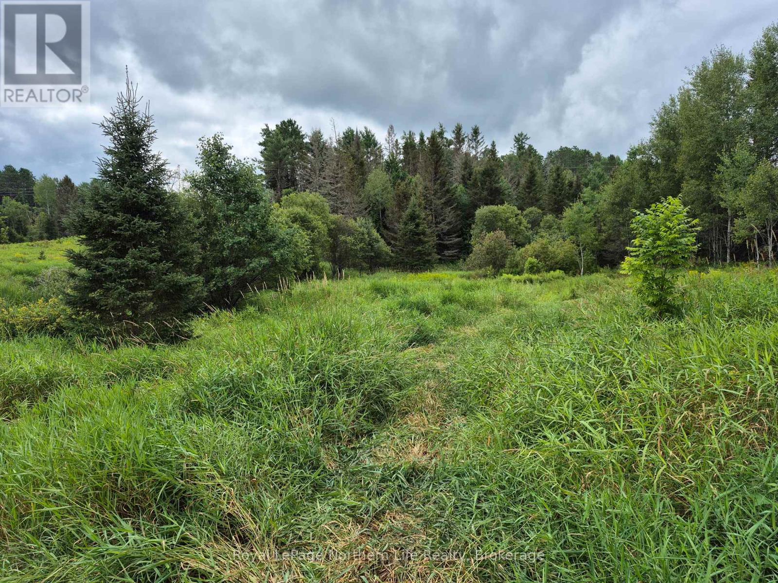 3518 Highway 17 Property Photo 8