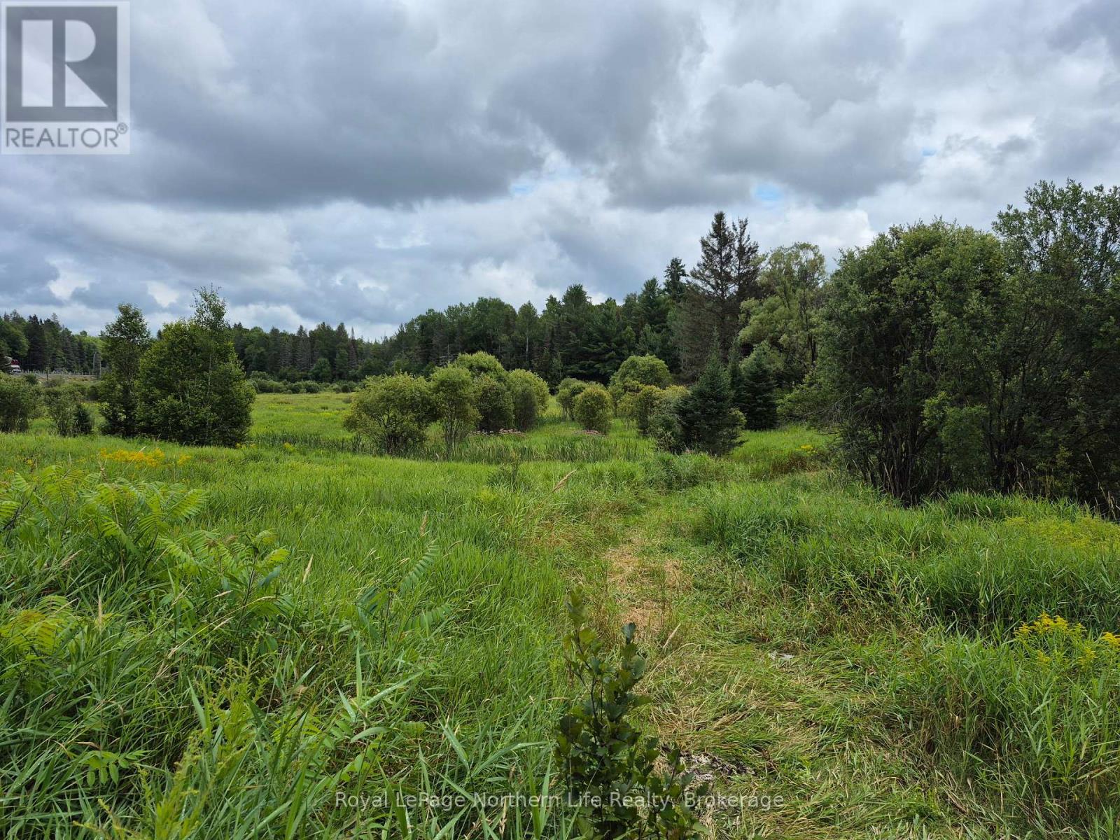 3518 Highway 17 Property Photo 9