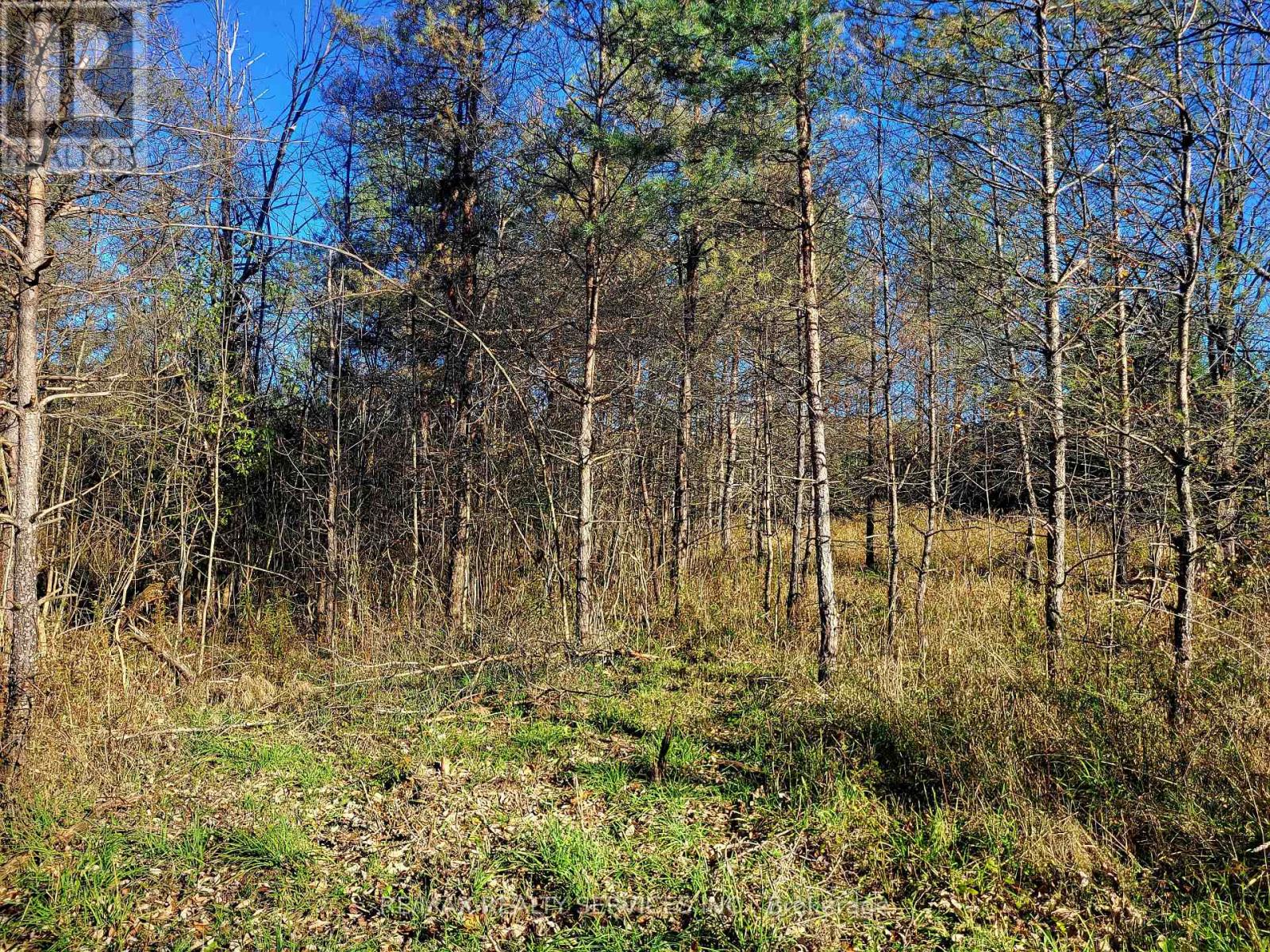 395421 Concession 2 Road Property Photo 7