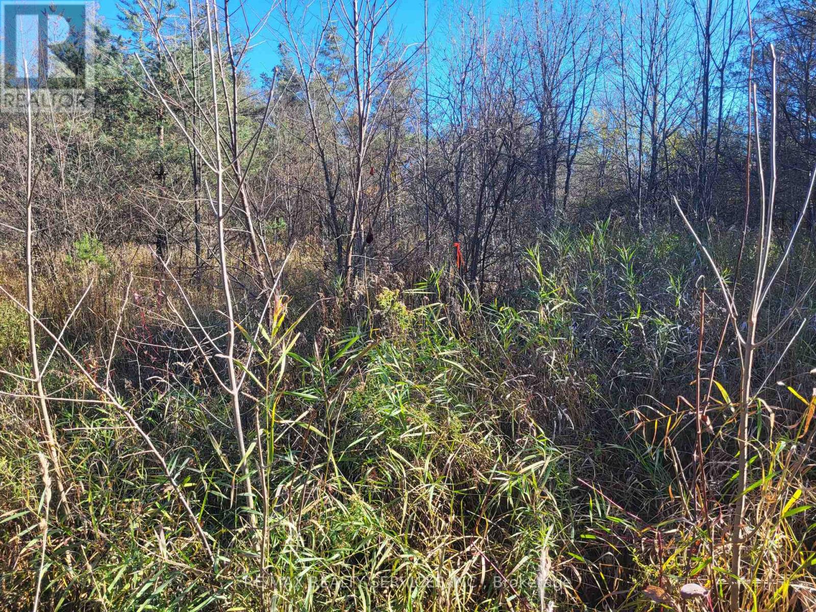 395421 Concession 2 Road Property Photo 9