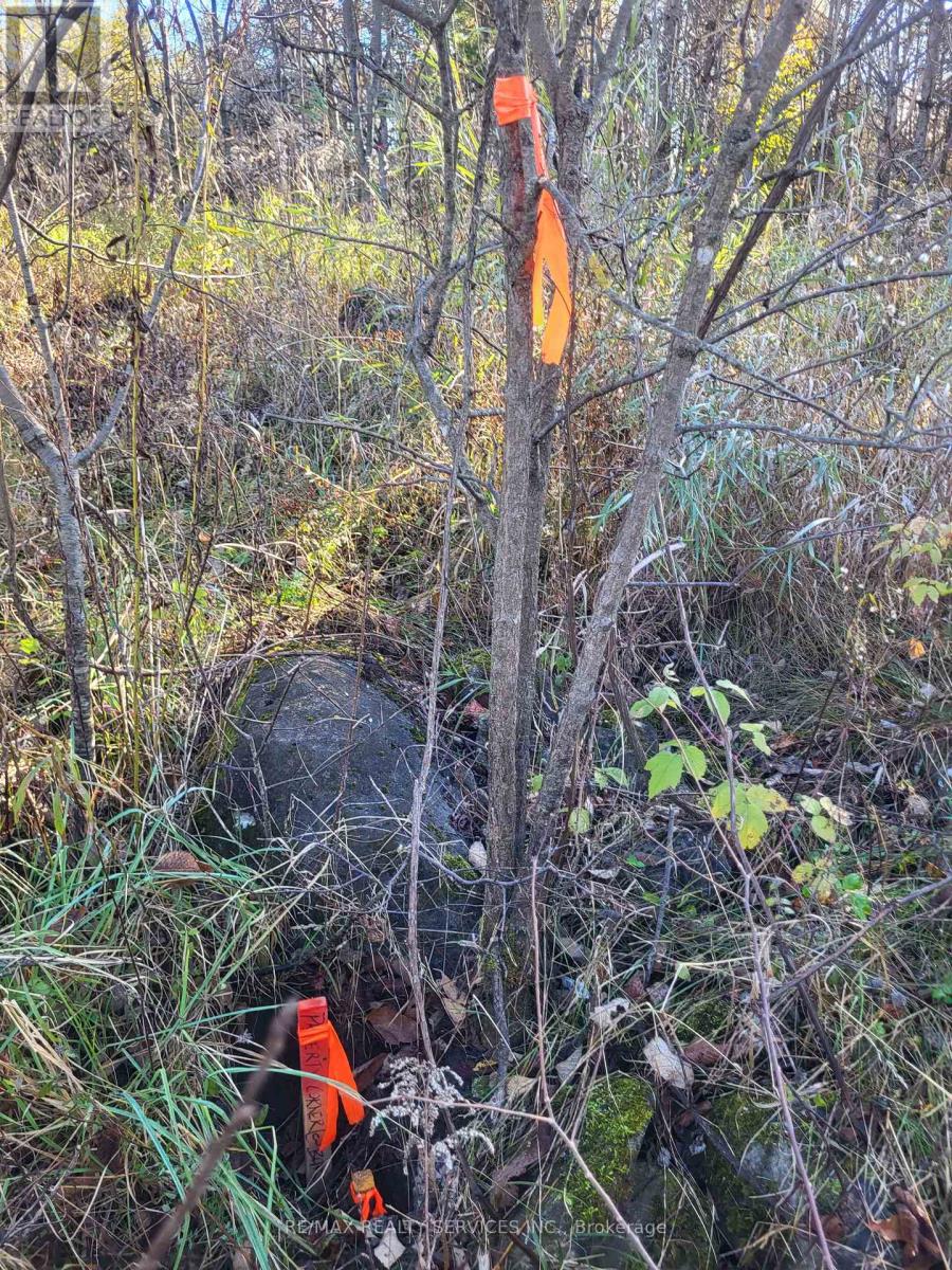 395421 Concession 2 Road Property Photo 10